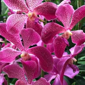 Meet your Posher, Marcie